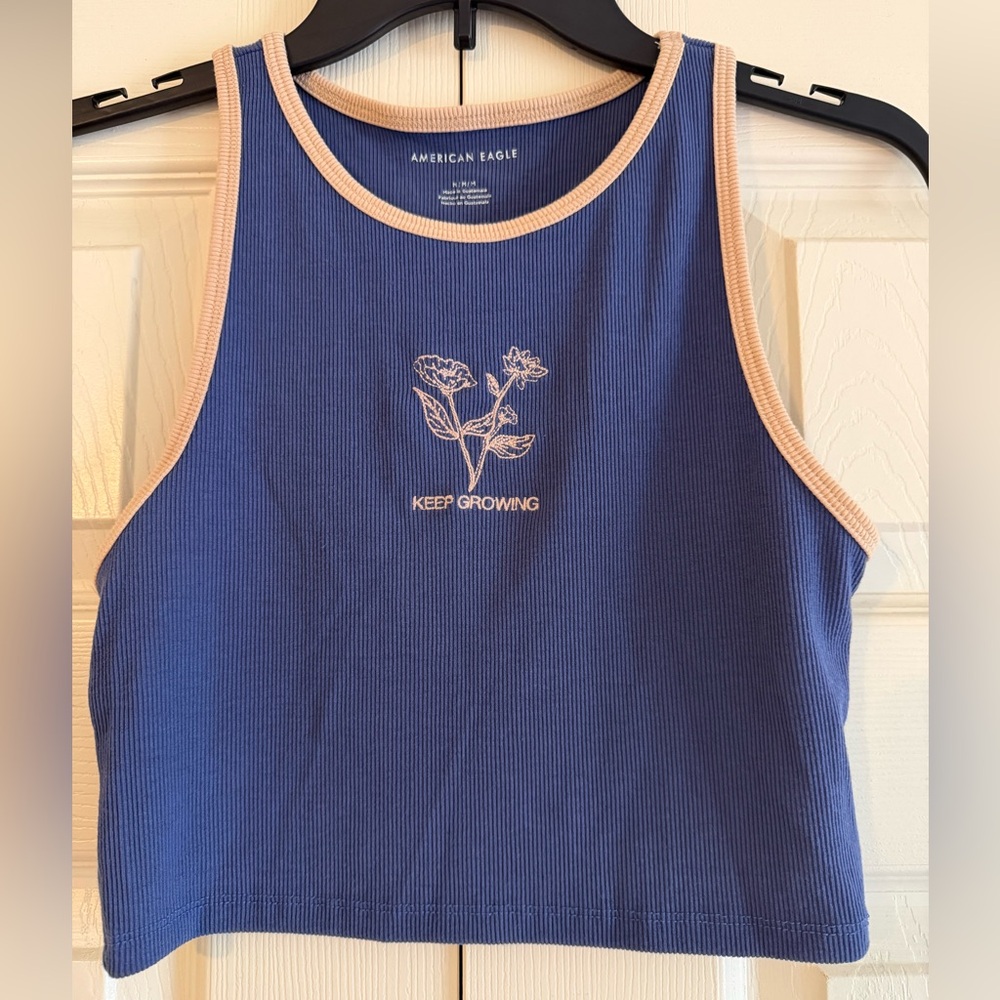 American Eagle Outfitters Blue Ribbed Crop Tank with Cream Trim